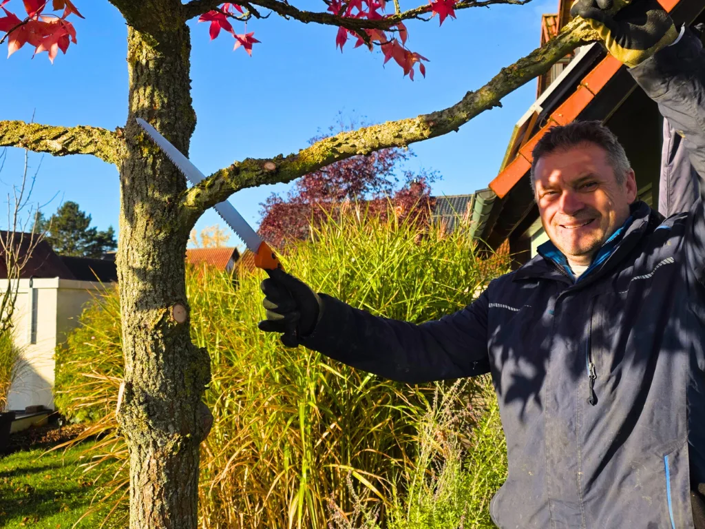 Gerhard Mantsch beim fachgerechten Rückschnitt eines Baumes